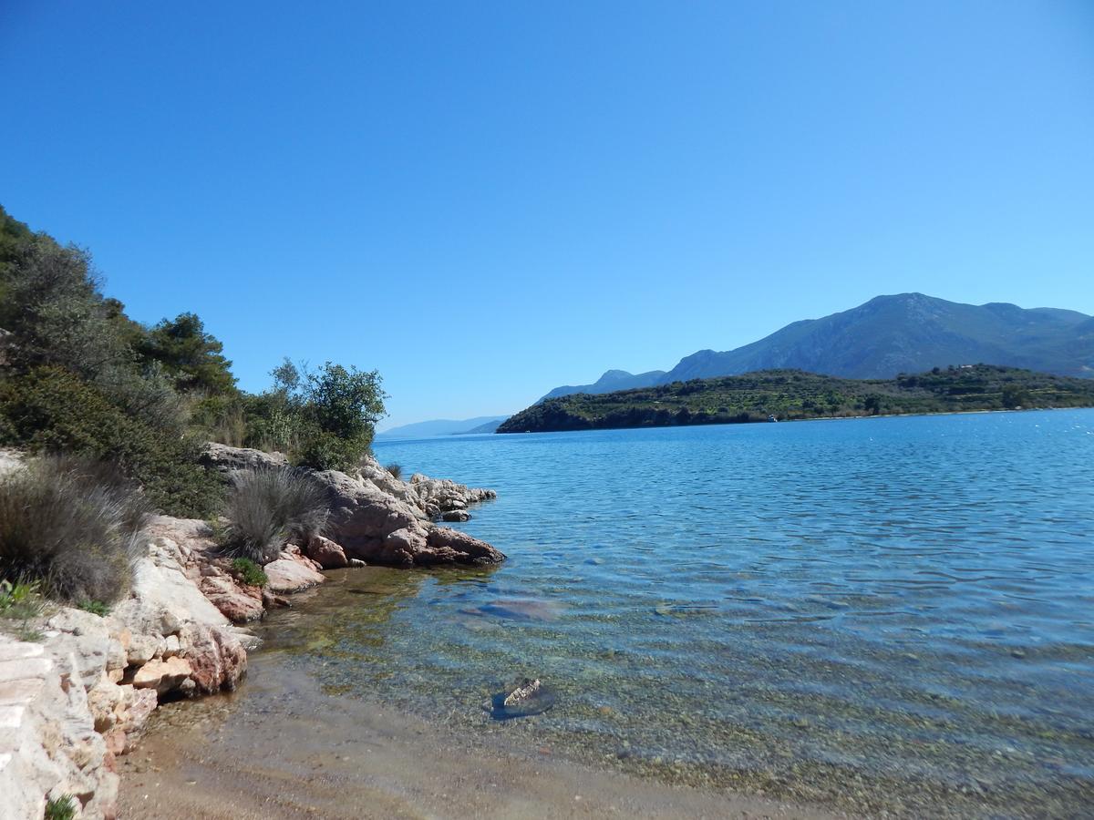 فندق Poseidon Epidaurus المظهر الخارجي الصورة